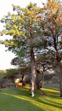 Debbie Kohrs with the Baobab at  White Elephant Safari Lodge