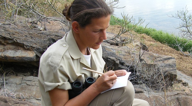 Elephant researcher taking notes