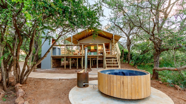 Glamping tents situated in the bush